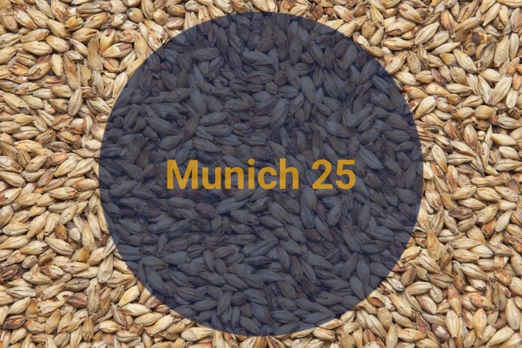 Солод весовой Мюнхенский 25 / Munich 25, 20-30 EBC (Soufflet)
